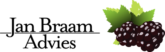Jan Braam Advies